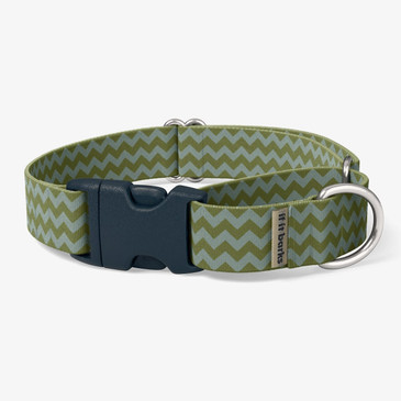 front view of collar front view of collar